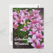 Carte Postale Wisconsin Lillies (Devant / Derrière)