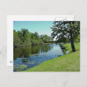 Carte Postale Wisconsin Medford Stream River Water Park Picnic (Devant / Derrière)
