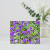 Carte postale Wisconsin Wood Violets (Debout devant)