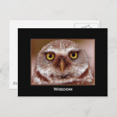 CARTE POSTALE WISDOM OWL (Devant / Derrière)