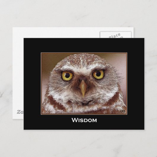 CARTE POSTALE WISDOM OWL (Devant / Derrière)