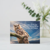Carte postale Wisdom Quote Owl (Debout devant)