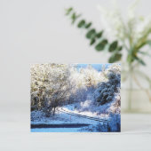 Carte Postale Wise Man Winter - Coquille, Oregon (Debout devant)