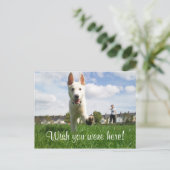 Carte Postale Wish you were ! (Debout devant)