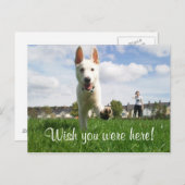 Carte Postale Wish you were ! (Devant / Derrière)