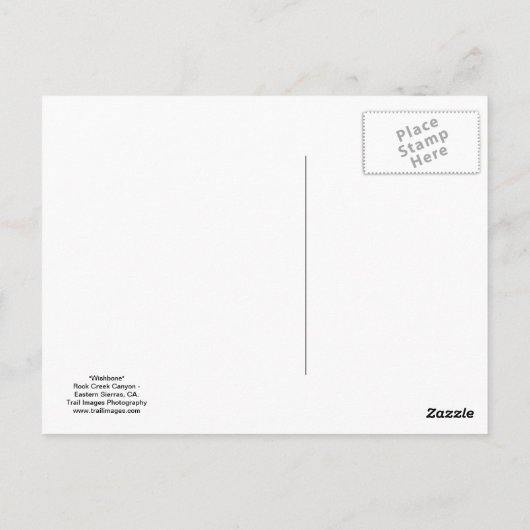 Carte Postale "Wishbone" (Dos)