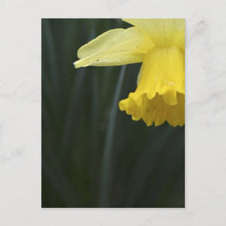 Carte Postale Wishing for Warming Postcard