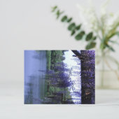 Carte Postale Wisteria (Debout devant)