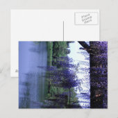 Carte Postale Wisteria (Devant / Derrière)