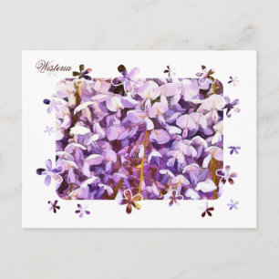CARTE POSTALE WISTERIA