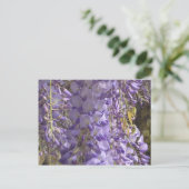 Carte postale Wisteria (Debout devant)