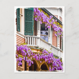 Carte Postale Wisteria sur une maison Vintage du sud à Savannah