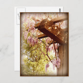 Carte Postale Wisteria Urbane (Devant / Derrière)