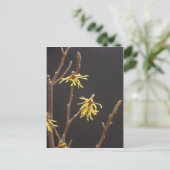 Carte Postale Witel Blossom (Debout devant)