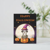 Carte Postale Wizard Raccoon (Debout devant)