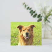 Carte Postale WJ chien conception (Debout devant)