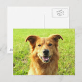 Carte Postale WJ chien conception (Devant / Derrière)