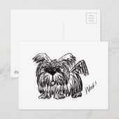 Carte Postale Wohof A Dust Mop Dog (Devant / Derrière)