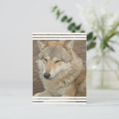 Carte postale Wolf (Debout devant)