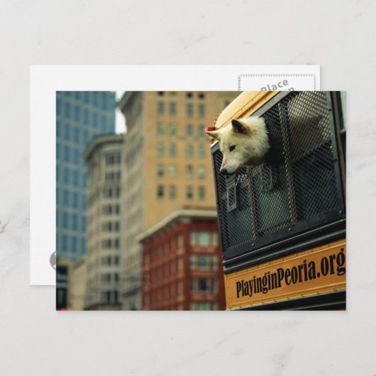 Carte postale Wolf (Devant / Derrière)