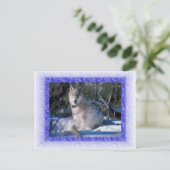 Carte postale Wolf (Debout devant)