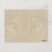 Carte postale Wolf (Dos)