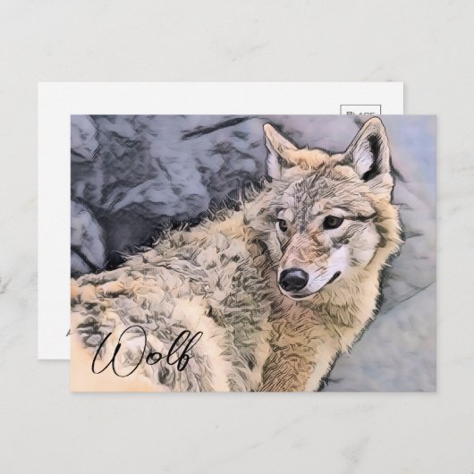 Carte Postale Wolf (Devant / Derrière)