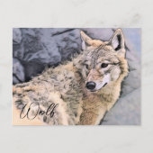 Carte Postale Wolf (Devant)