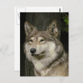 Carte postale Wolf (Devant / Derrière)