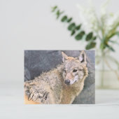 Carte Postale Wolf ポストカード (Debout devant)