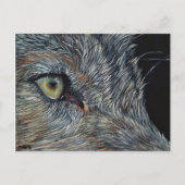 Carte Postale Wolf Ansichtkaart (Devant)