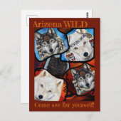 CARTE POSTALE WOLF ART (Devant / Derrière)