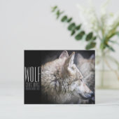 Carte Postale Wolf [Carte postale] (Debout devant)