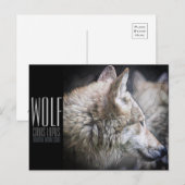 Carte Postale Wolf [Carte postale] (Devant / Derrière)