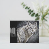 Carte Postale Wolf [Carte postale] (Debout devant)