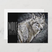 Carte Postale Wolf [Carte postale] (Devant / Derrière)