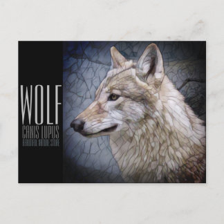 Carte Postale Wolf [Carte postale]