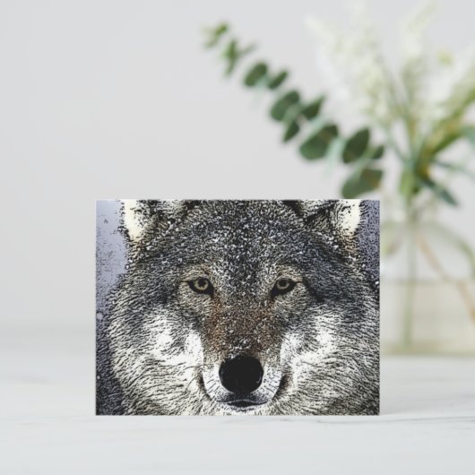 Carte Postale Wolf Eyes (Debout devant)