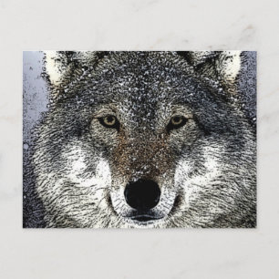 Carte Postale Wolf Eyes