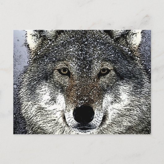 Carte Postale Wolf Eyes (Devant)