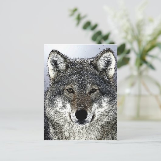 Carte Postale Wolf Eyes (Debout devant)