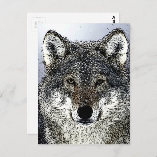 Carte Postale Wolf Eyes (Devant / Derrière)