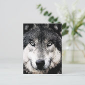 Carte Postale Wolf Eyes (Debout devant)
