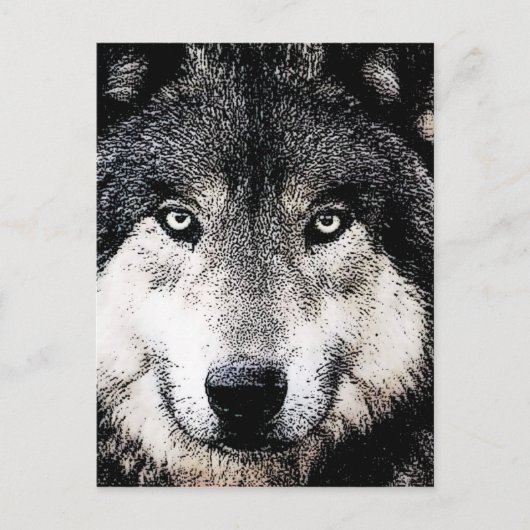 Carte Postale Wolf Eyes (Devant)