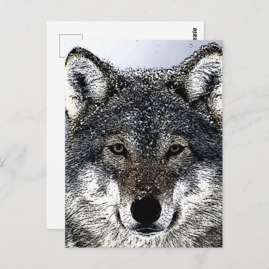 Carte Postale Wolf Eyes (Devant / Derrière)