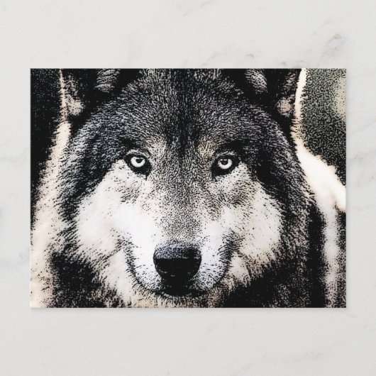 Carte Postale Wolf Eyes (Devant)