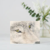 Carte Postale Wolf Eyes (Debout devant)