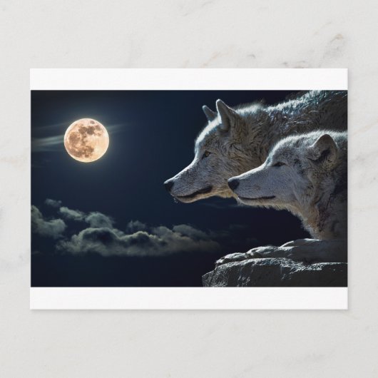 Carte Postale Wolf Gifts (Devant)
