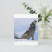 Carte Postale Wolf Howl (Debout devant)