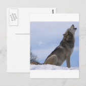 Carte Postale Wolf Howl (Devant / Derrière)